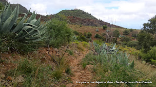 Montaña de El Helechal