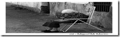 clip_image004