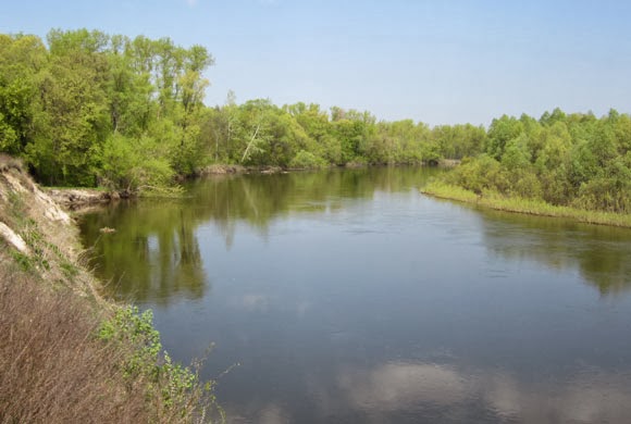 On the verdant banks of the spring river