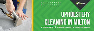 Upholstery%20Cleaning%20in%20Milton%203.jpg