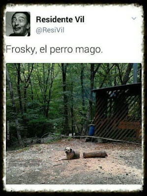 Frosky, el perro mago