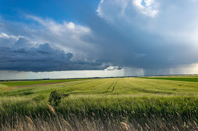 Storm Passing Through Field