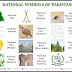 List Of National Things Of Pakistan 2021 - 20+Gk Macq's