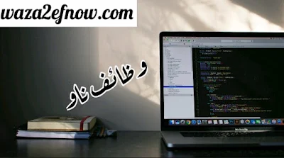 وظائف محاسبين اليوم في السعودية والأردن 2018 | وظائف ناو 