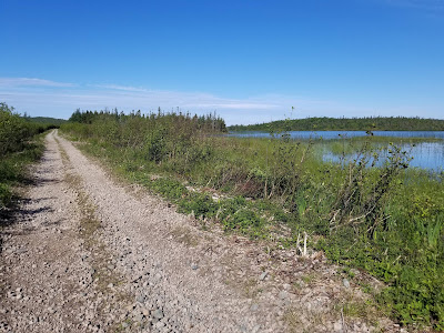 Trans Canada Trail path Robinsons Newfoundland.