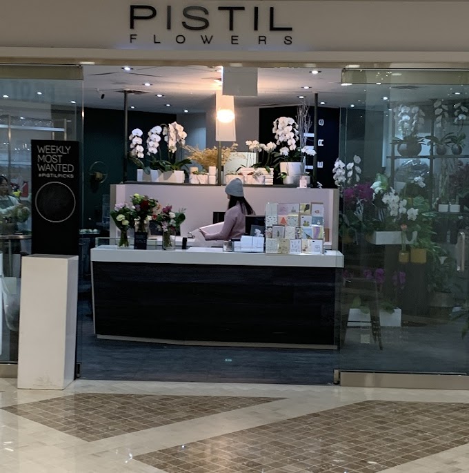 Pistil Flowers - PATH Toronto