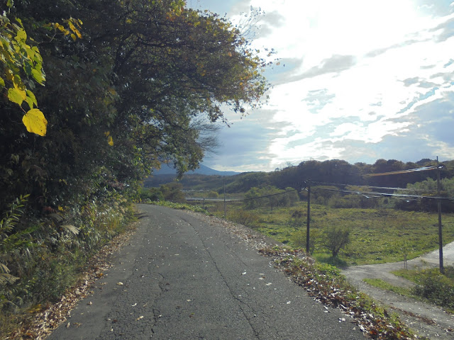 昔の大山へ行くための道路を大山の方角に歩きます