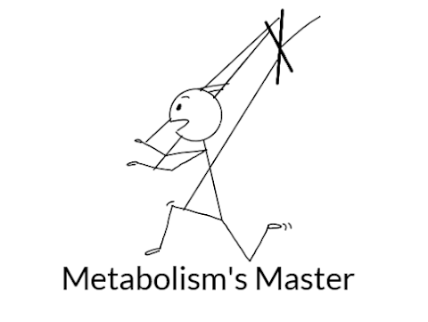 Thermodynamics #2: Metabolism's Master