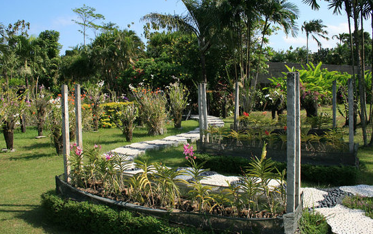 [http://FindWisata.blogspot.com] Orchid Gardens, Bali