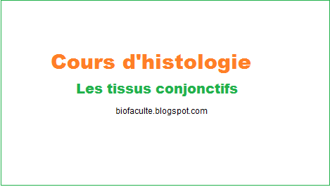 Tissus conjonctifs Cours