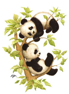 2000 Gambar Panda Keren Background Panda 3D 4D HD