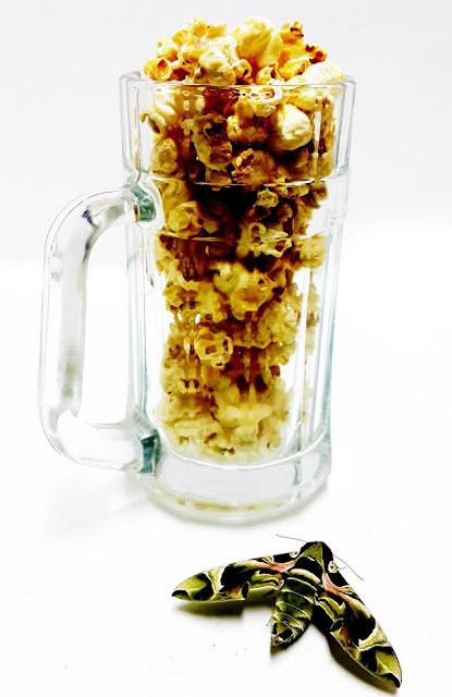POPCORN BEER When I first started drinking the first booze I ever partaken on saw beer.  I got my first hang over. I got tersty  but my grandma game me an  advice drink coffer  or something worm but I did not listen  I took a cup and drank .then a called craws ! UWAK… then feed the ducks. In short I bereft I tried to get to the bath room but failed it went all over the floor. So then I drink the coffee .it never came to me that my grandma knew a lot about sobering up . Ironically drinking on my culture has deep roots . and my love of movies and being drunk made me think  is popcorn is it great with beer? and I couldn’t find a recipe after watching” viva la bam “when they traveled through Europe and came to Germany .then I found out popcorn beer it existed so I tried making it .and I used Stallion Beer  but you can use any preferred beer of your liking .it turns out   that beer when heated the alcohol evaporates so I can’t get drunk. But it taste like beer anyhow so enjoy.  POPCORN BEER  Ingredients 1/4 cups popped popcorn  1/2 cup Stallion Beer  1/4 cup packed brown sugar  4 tablespoons butter  1/4 teaspoon salt  2 oz milk   1. Heat oven to 300°F. Line two 15x10x1-inch pans with butter. 2. In large bowl, place popcorn. 3. In 2-quart saucepan, beer over medium heat, stirring frequently, until reduced cup, about 6 minutes. Add back to saucepan. Stir in brown sugar, syrup butter and milk. Cook over medium heat until bubbly around edges, stirring occasionally. 4. Reduce heat to medium-low; cook about 5 minutes longer, stirring occasionally, until thickened and syrupy. Remove from heat; carefully stir in salt. Pour over popcorn mixture in bowl; toss until evenly coated. Spread popcorn mixture in pans. Bake 20 minutes, stirring every 5 minutes, to caramelize mixture. Cool completely, about 1 hour. Break into pieces. Store in airtight container. You can also add mix nuts and pretzels. 