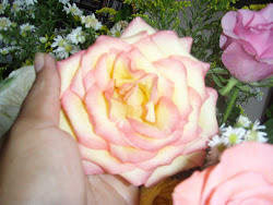 amo flores