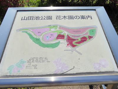 山田池公園 花木園の案内