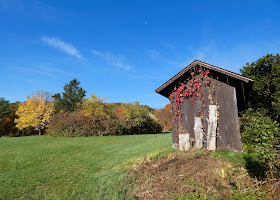 White Memorial Conservation Area