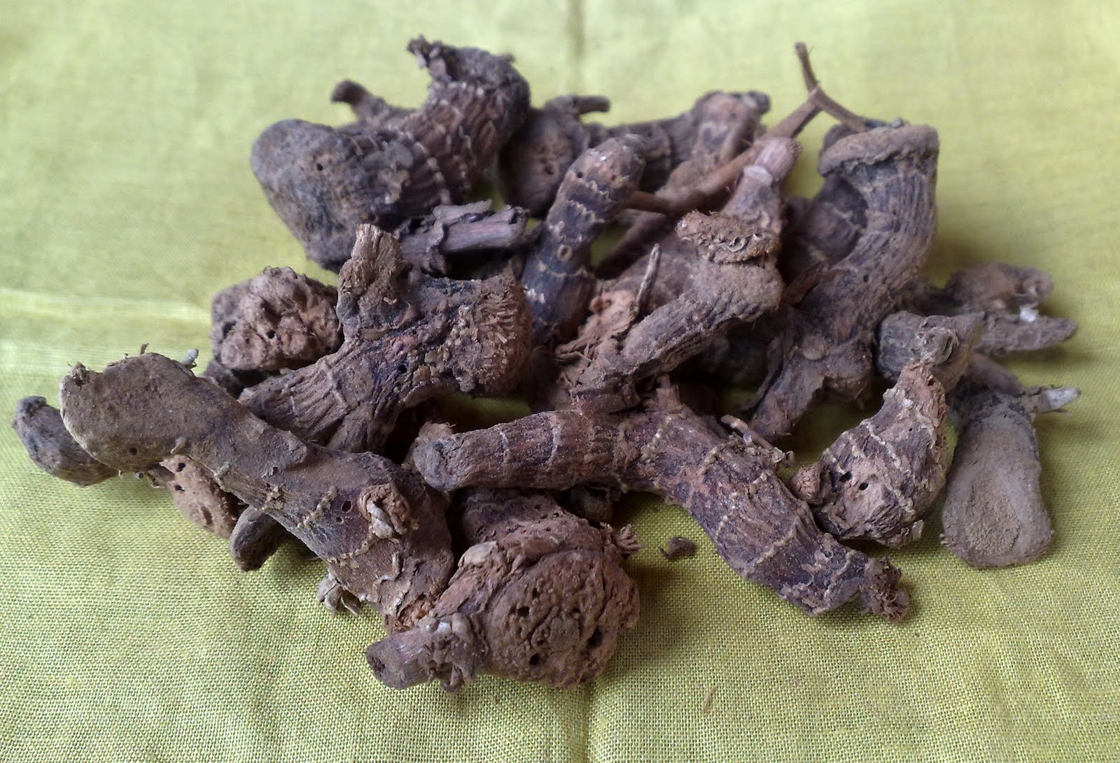 Pak Chu's Antiques, Mystic & Traditional Herbs: Herba 