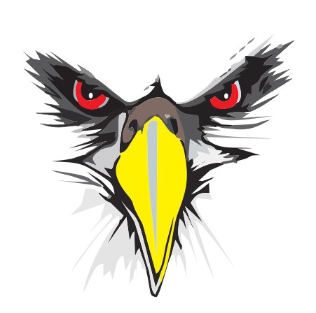 custom logo design head eagle