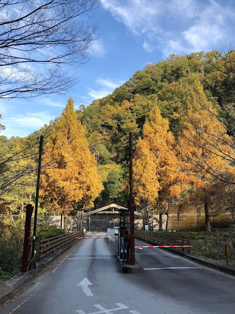 府民の森 ほしだ園地の駐車場