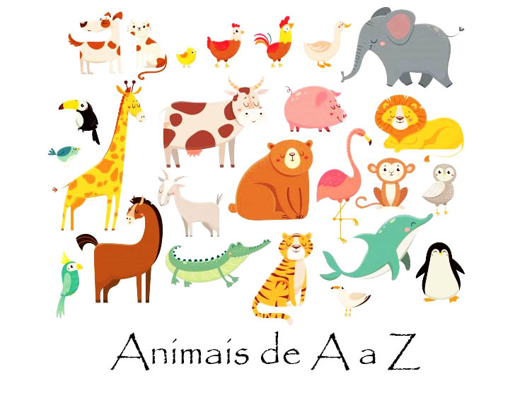 Animais com a letra Y