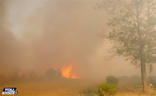 Incendi in Sardegna - www.youreporter.it