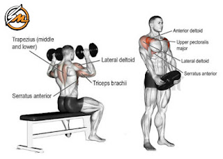 The Ultimate Superset Shoulder Workout