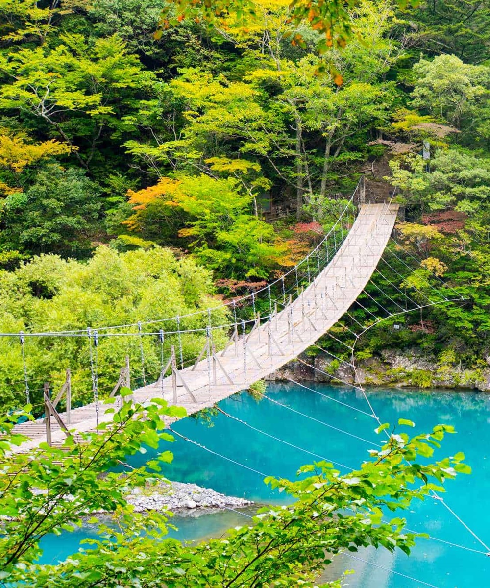 สะพานแขวนยูเมะ โนะ สึริบาชิ (Yume no Tsuribashi Suspension Bridge)