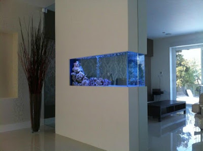 Model aquarium unik