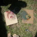 View album