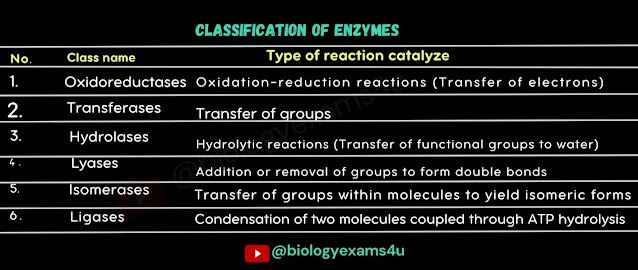 Classification of enzymes