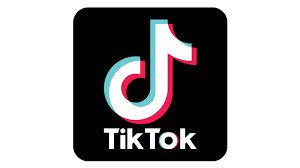 Download TikTok in Gallery