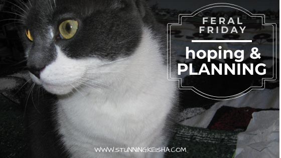 Feral Friday: Hoping & Planning