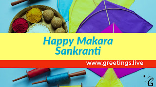 Makara Sankranti Festival Kites 2018