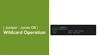 Cara Penggunaan Wildcard Operations di Junos CLI