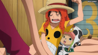 ワンピース 劇場版 フィルムゼット ルフィ チョッパー | ONE PIECE MOVIE FILM Z