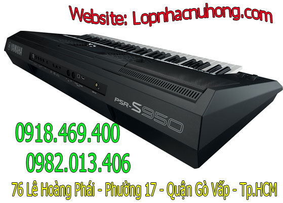 dan organ psr s950