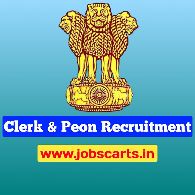 Clerk and Peon Post Recruitment 2024 ! Check Qualification, Eligibility, Apply Process 