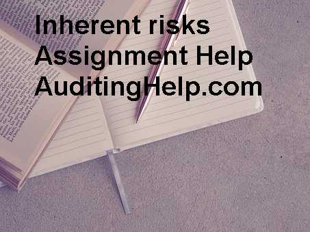 Form Of Auditors Report On Consolidated Financial Statements Assignment Help
