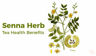 10 Amazing Senna Herb Tea Health Benefits