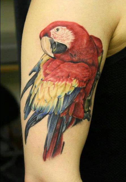 Parrot Bird 3D Tattoo