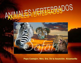 http://www.murciaeduca.es/cpntrasradelaasuncion/bitacora/upload/img/ANIMALES%20VERTEBRADOS.swf