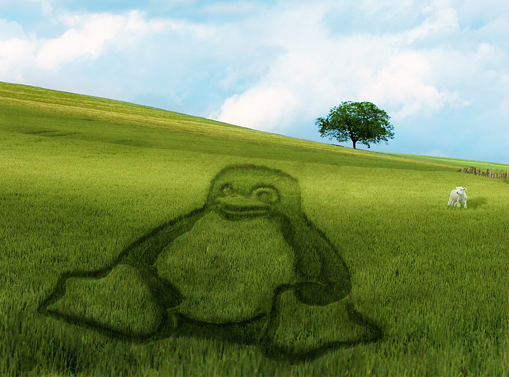 grass wallpapers. Linux symbol in the grass