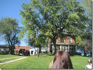 IMG_8772 IMG_8772