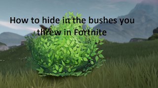 Bushes in fortnite: How to hide in the bushes you threw