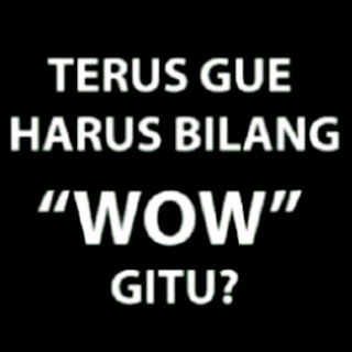 Dp bbm terus gw harus bilang wow gitu - kumpulan display picture 