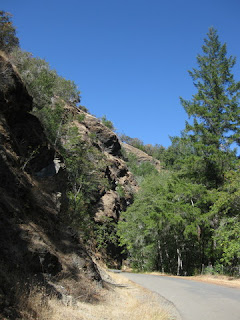 Rock face along the gentle lower section of King Ridge Road, Sonoma County, California