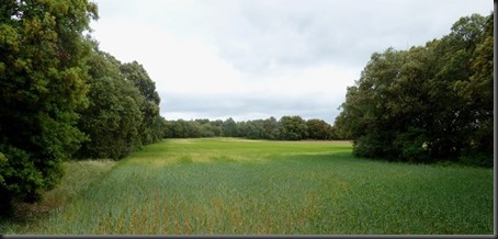 P1100119X