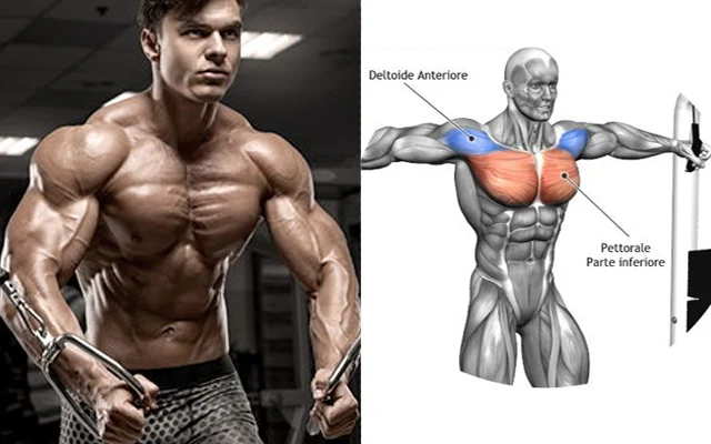 Men Who Want To Develop A Bigger, Wider, And Stronger Chest Should Do This Workout