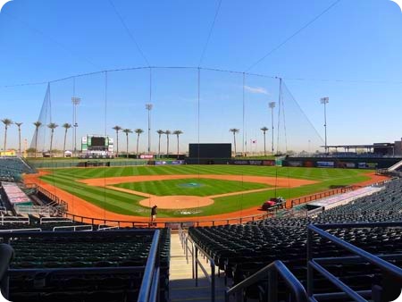 12-field