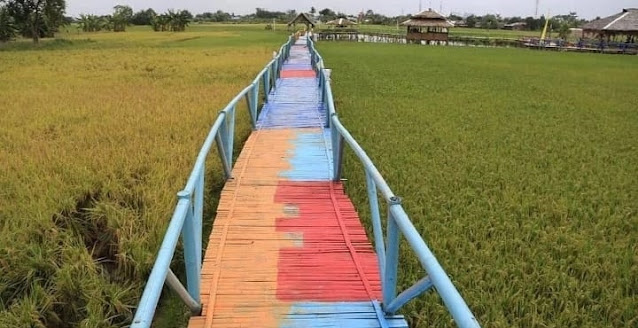 Menjajal Keindahan Kampung Wisata Sawah di Deli Serdang, Tiketnya MURAH !