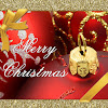 Merry Christmas Cards